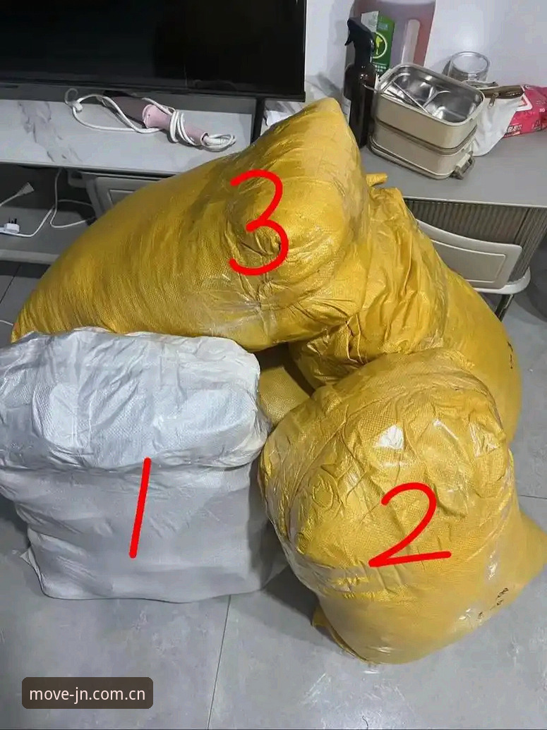 揭秘JN体育数据背后：从“随手看”到“看懂门道”的真相